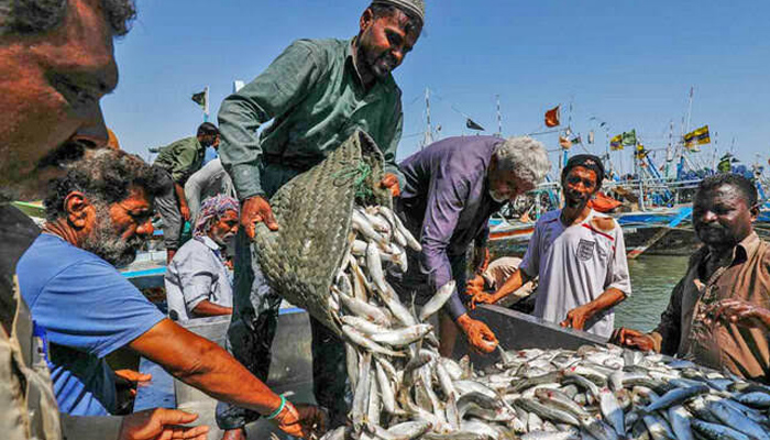 چین کو پاکستان کی سمندری خوراک کی برآمدات میں اضافہ