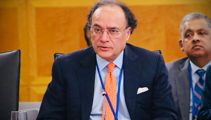 پاکستان اب غیر ملکی سرمایہ کاری کیلئے محفوظ ملک بن چکا ہے: وزیرخزانہ