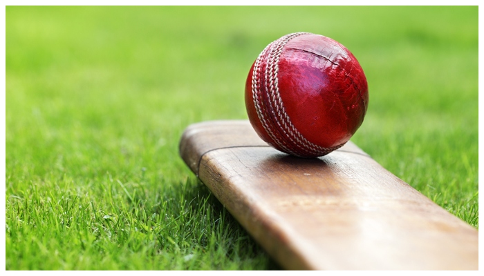 سلیکشن نہ کرنے پر کرکٹرز کا ہیڈ کوچ پر بدترین تشدد،سر پر 20 ٹانکے آگئے